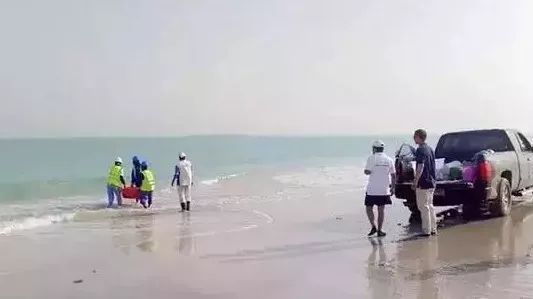 ������ʱ-�������ǲ��й��ٷ���վ